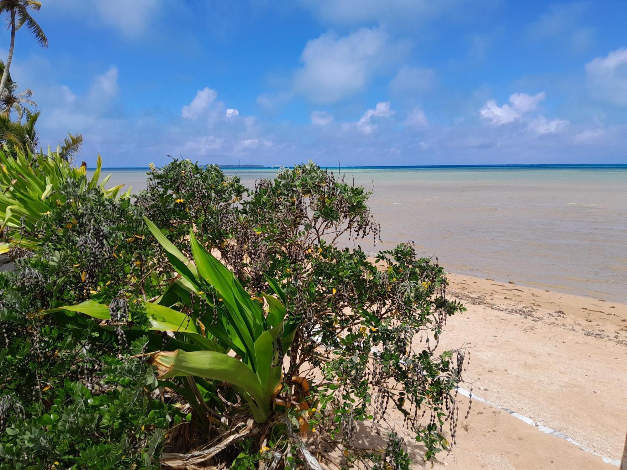 Mara'Ai Le Spot Tubuai Chambre Triple Taahueia Deluxe Sdb Privee Avec Piscine Mataura Экстерьер фото